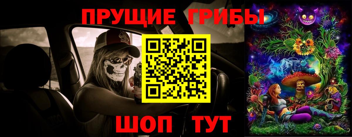 Псилоцибиновые грибы GOLDEN TEACHER  Вход с VPN  Ливны  Псилоцибиновые грибы MAGIC MUSHROOMS 