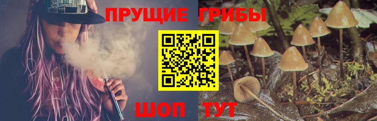 Гашиш  Метамфетамин  Купить наркотик  Ливны  Лсд 25  Вход с VPN  Мефедрон  Бошки Шишки  COCAIN  Меф  Alpha-PVP 
